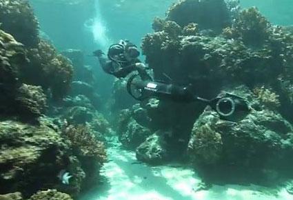 إسبح تحت سطح الماء مع Google SEAview